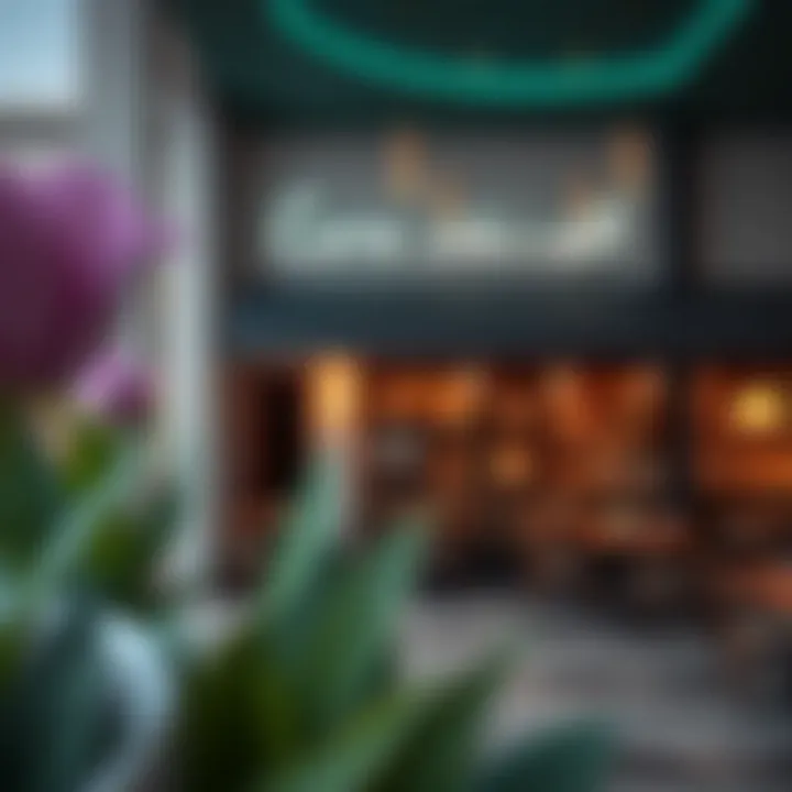 Magnificent Cafés in Al Quoz: An In-Depth Exploration Magnificent Cafés in Al Quoz: An In-Depth Exploration