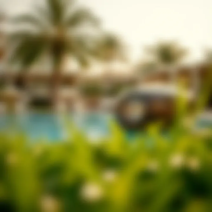 Magnificent Exploring Summer Activities in Dubai