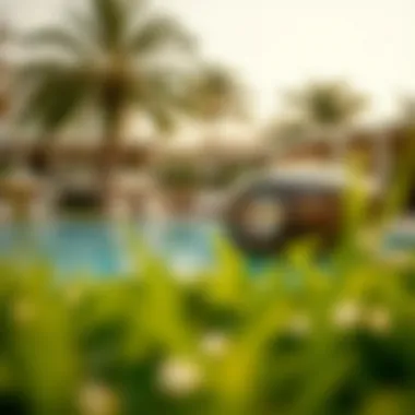 Magnificent Exploring Summer Activities in Dubai Magnificent Exploring Summer Activities in Dubai