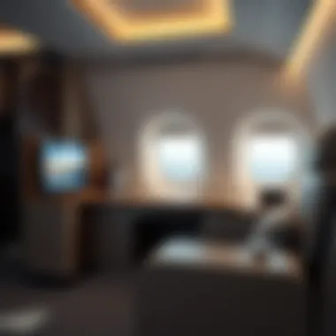 A Comparative Analysis of Business and First Class Experiences on Emirates Airlines Introduction A Comparative Analysis of Business and First Class Experiences on Emirates Airlines Introduction