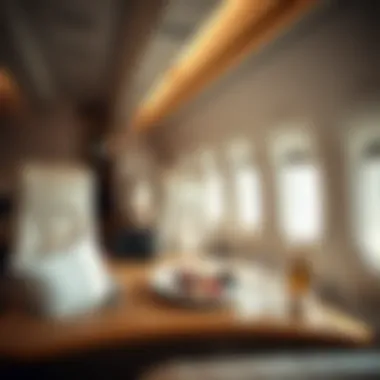 A Comparative Analysis of Business and First Class Experiences on Emirates Airlines Summary A Comparative Analysis of Business and First Class Experiences on Emirates Airlines Summary