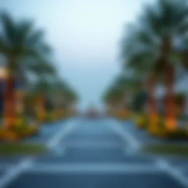 Amenities and Recreational Spaces in Al Gadeer Vibrant amenities in Al Gadeer including parks and recreational spaces