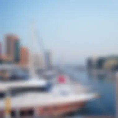 Notable An In-Depth Exploration of Wyndham Marina Notable An In-Depth Exploration of Wyndham Marina