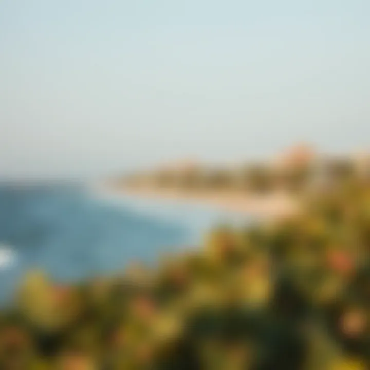A panoramic shot of the Bateen Beach shoreline with luxurious residences in proximity