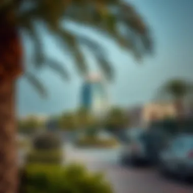 Local Amenities and Parks in Karama Local amenities and parks in Karama