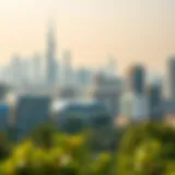 Overview of Dubai skyline with greenery