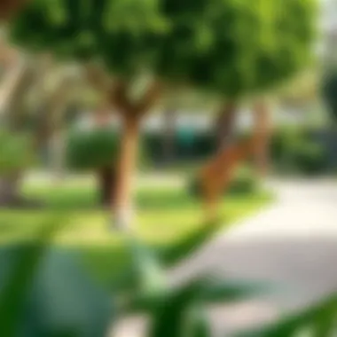 The tranquil gardens of the Emirates Park Zoo, perfect for family outings and nature walks.