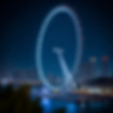 Ain Dubai Shining Bright: Nighttime Illumination with Skyline Ain Dubai illuminated at night with the Dubai skyline in background