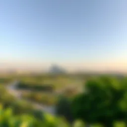 A panoramic view of Al Mushrif Park showcasing its lush greenery
