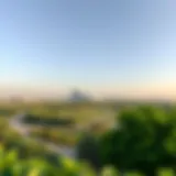 Panoramic View of Al Mushrif Park A panoramic view of Al Mushrif Park showcasing its lush greenery