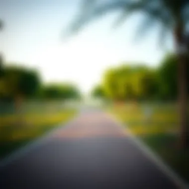 Serene Walking Path in Al Mushrif Park A serene walking path lined with trees in Al Mushrif Park