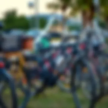 Variety of Bicycles for Rent at Mushrif Park Different types of bicycles available for rent at Mushrif Park