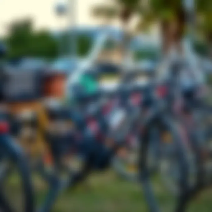 Variety of Bicycles for Rent at Mushrif Park Different types of bicycles available for rent at Mushrif Park