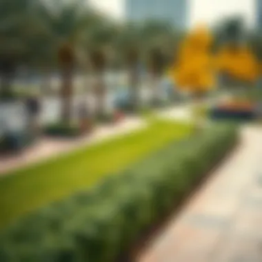 Cycling Paths and Rental Locations in Mushrif Park Map of Mushrif Park highlighting cycling paths and rental locations