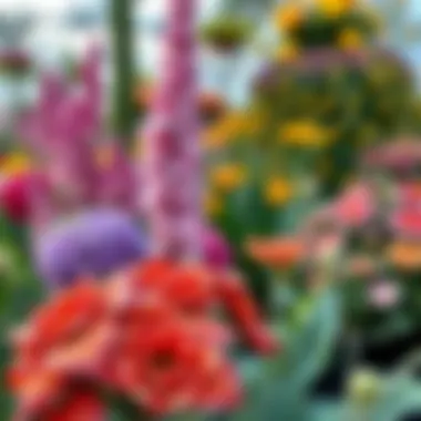 Vibrant Floral Arrangements Vibrant floral arrangements in Dubai's Flower Garden