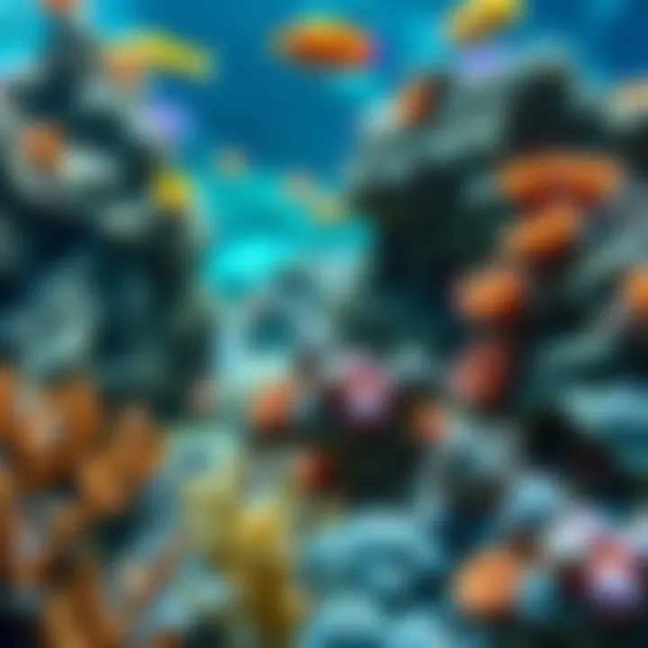 Vibrant Coral Reef Display A close-up of a vibrant coral reef display within the aquarium