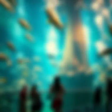 Dubai Aquarium Ticket Options A detailed view of the various ticket options available for Dubai Aquarium