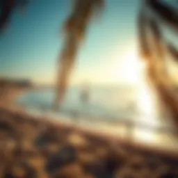 Scenic view of the coastline at a free beach in Abu Dhabi
