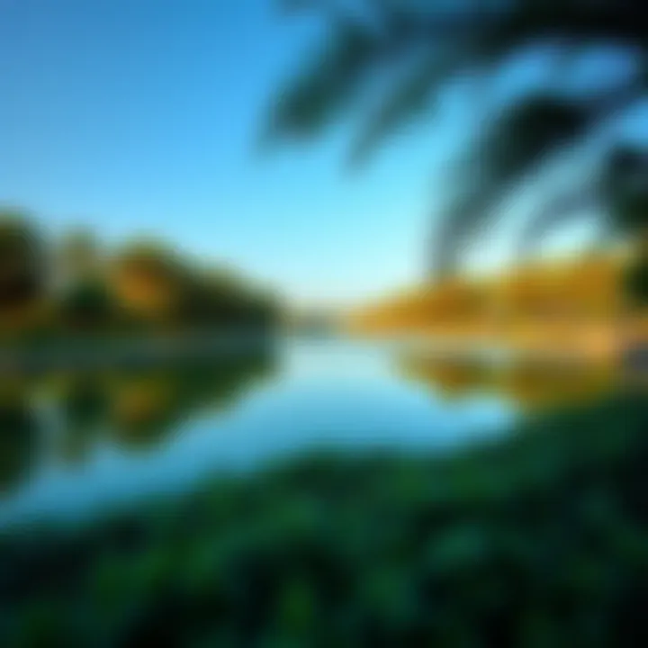 Lush Greenery Surrounding Khalid Lake Lush greenery surrounding Khalid Lake