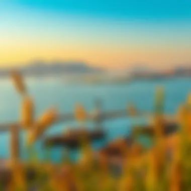 Scenic Views from Khalid Lake Scenic views from Khalid Lake