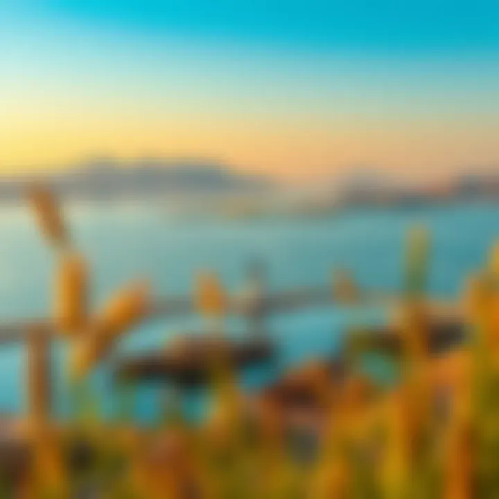 Scenic Views from Khalid Lake Scenic views from Khalid Lake