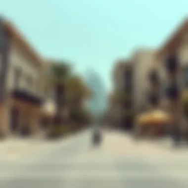 Leisure and Amenities on Mohammed Bin Zayed Street Recreational spaces and amenities near Mohammed Bin Zayed Street