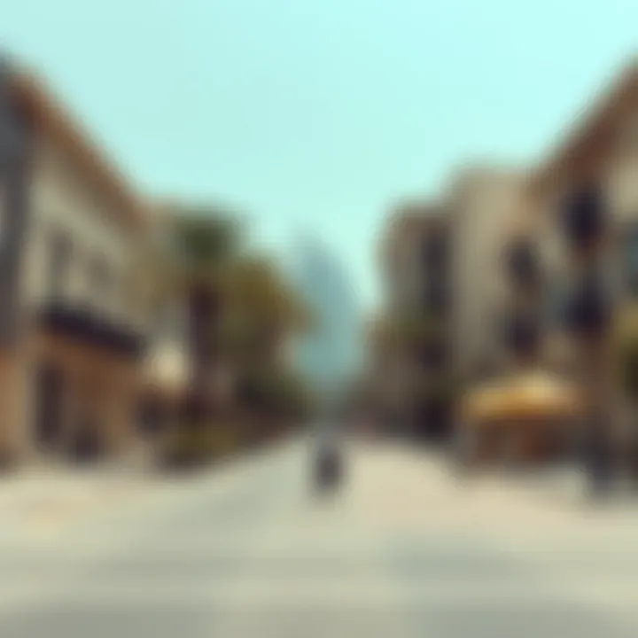 Leisure and Amenities on Mohammed Bin Zayed Street Recreational spaces and amenities near Mohammed Bin Zayed Street