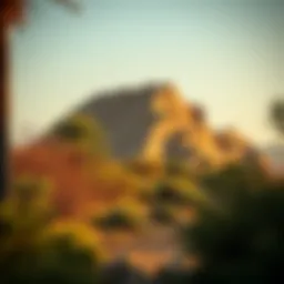 Exploring Mushrif National Park: A Gateway to Natural Beauty in Dubai Introduction