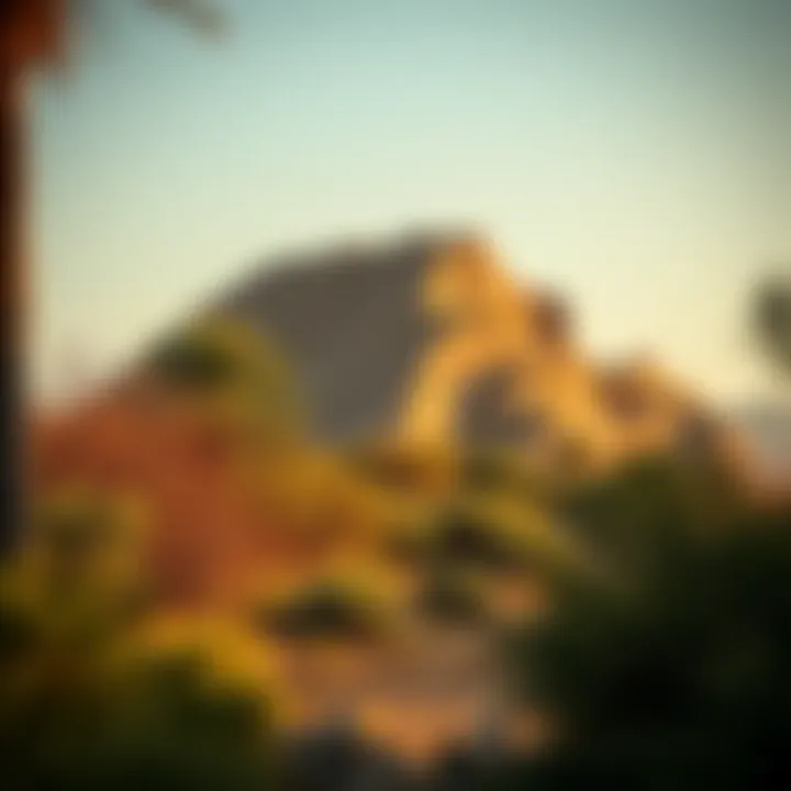 Exploring Mushrif National Park: A Gateway to Natural Beauty in Dubai Introduction Exploring Mushrif National Park: A Gateway to Natural Beauty in Dubai Introduction
