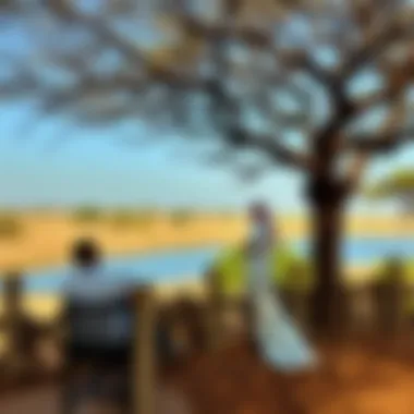 Exploring Mushrif National Park: A Gateway to Natural Beauty in Dubai Summary Exploring Mushrif National Park: A Gateway to Natural Beauty in Dubai Summary