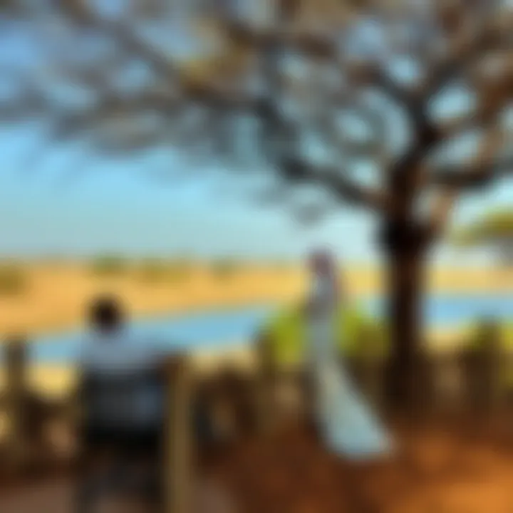 Exploring Mushrif National Park: A Gateway to Natural Beauty in Dubai Summary Exploring Mushrif National Park: A Gateway to Natural Beauty in Dubai Summary