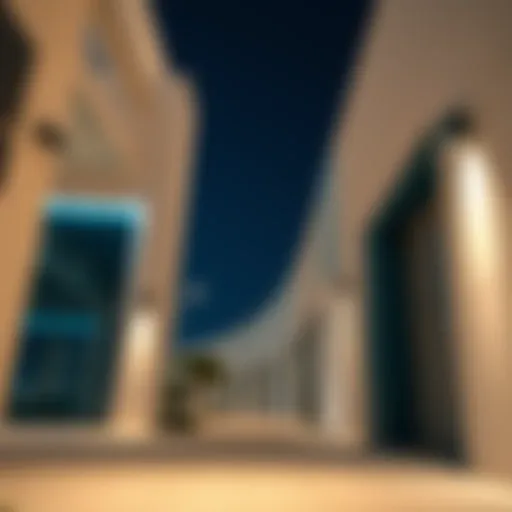Exploring Nuaimiya: A Detailed Overview Introduction