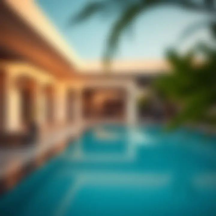 Amenities available in one BHK villas including pool and gym.