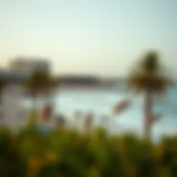 Exploring Plage Jumeirah: A Comprehensive Analysis Introduction