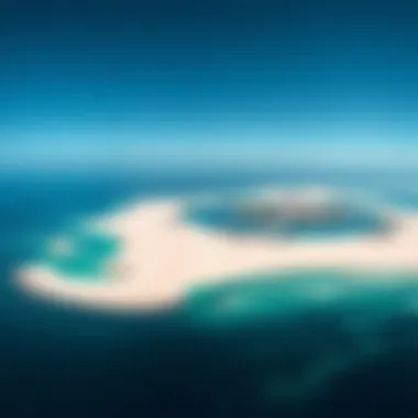 Aerial View of Sir Bani Yas Island An aerial view of Sir Bani Yas Island, emphasizing its pristine beaches and natural beauty