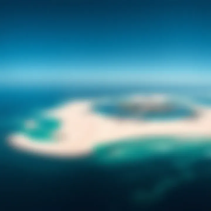 Aerial View of Sir Bani Yas Island An aerial view of Sir Bani Yas Island, emphasizing its pristine beaches and natural beauty