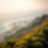 A breathtaking view of Sir Bani Yas Island showcasing its lush landscapes and wildlife