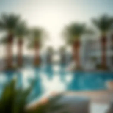 Luxurious resort pool area surrounded by palm trees in Abu Dhabi