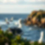 Exploring the Dynamics of Seabird Residence in Coastal Ecosystems Introduction