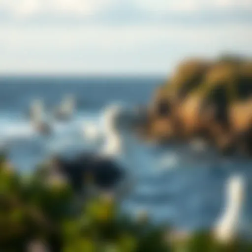 Exploring the Dynamics of Seabird Residence in Coastal Ecosystems Introduction