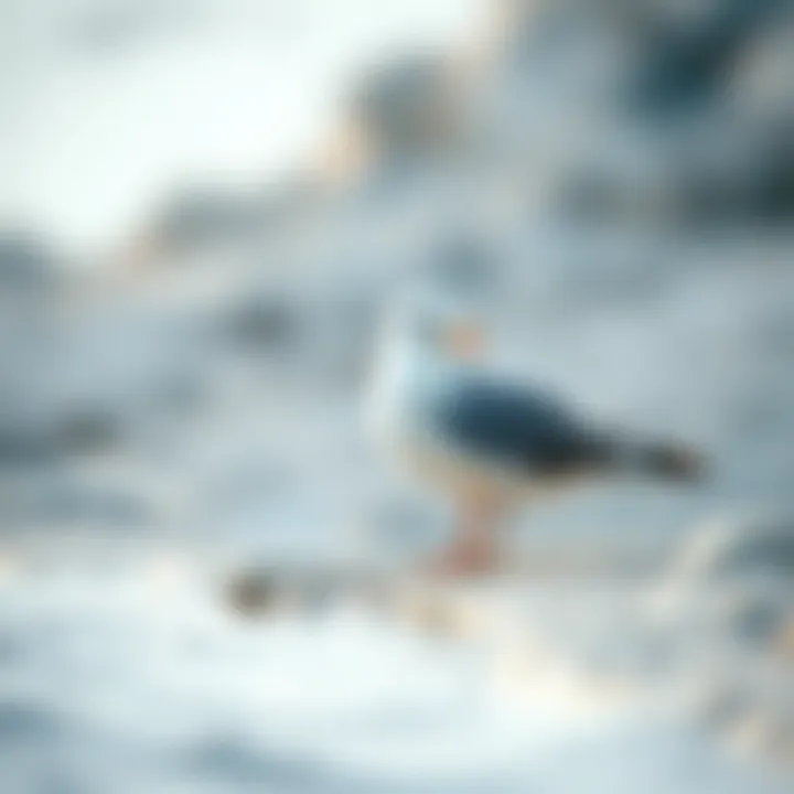 Notable Exploring the Dynamics of Seabird Residence in Coastal Ecosystems