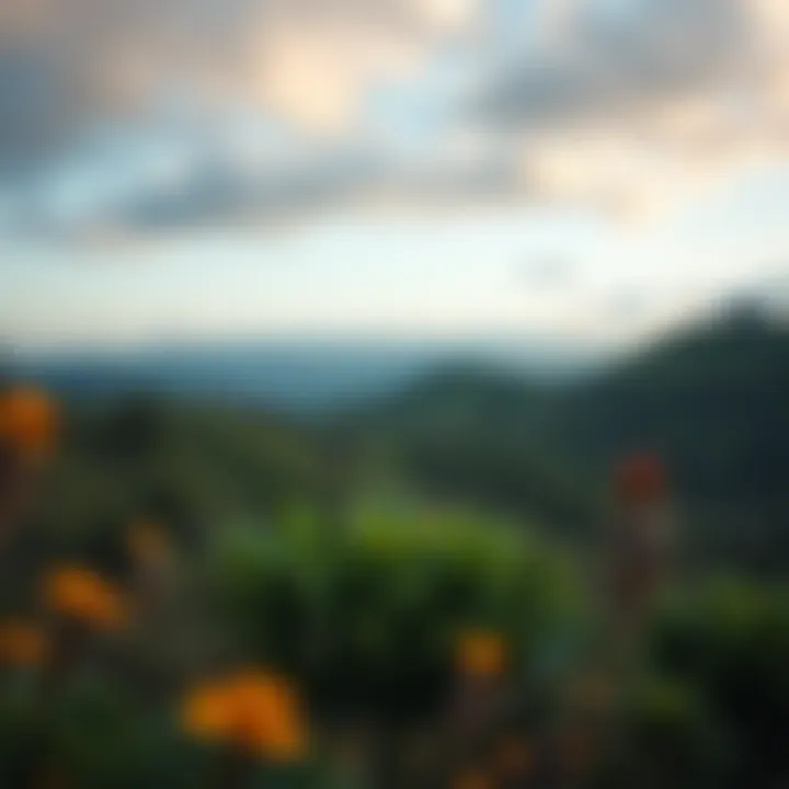 Notable Exploring the Flora of the West Zone: A Detailed Insight