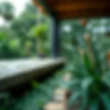 Exploring the Flora of the West Zone: A Detailed Insight Summary Exploring the Flora of the West Zone: A Detailed Insight Summary