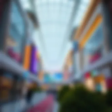 Exploring the Full Spectrum of Festival City Mall Summary Exploring the Full Spectrum of Festival City Mall Summary