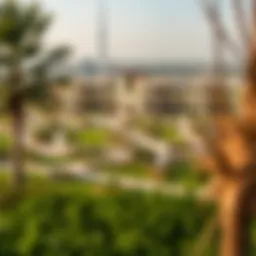 A panoramic view of The Greens community showcasing its lush landscaping and modern architecture