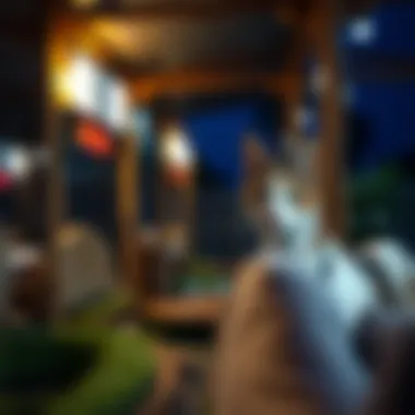 Exploring the Pet Farm Experience in Damac Hills Summary