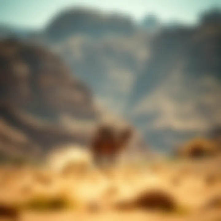 Notable Exploring Wadi Adventure: Ticket Offers and Experiences in Al Ain