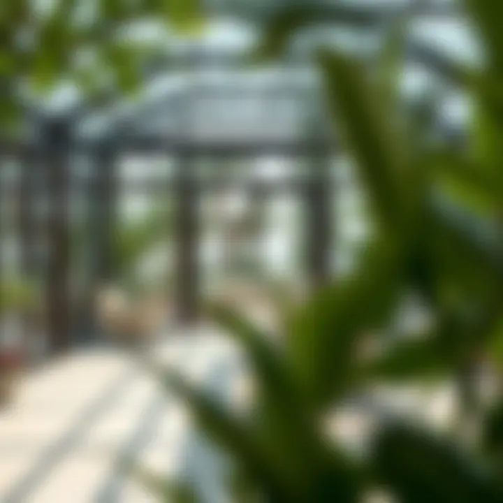 Inside the Glasshouse: Innovative Design Elements Interior view of a glasshouse with innovative design elements
