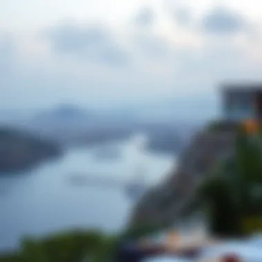 Investment Landscape of فلمنكي دبي Panoramic view of investment opportunities in فلمنكي دبي