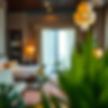 Cultural Elements in Hotel Decor Cultural elements integrated into Jannah Hotel's decor